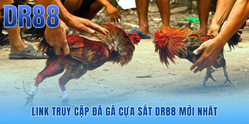 Link truy cập đá gà cựa sắt DR88 chính chủ bảo mật dữ liệu an toàn