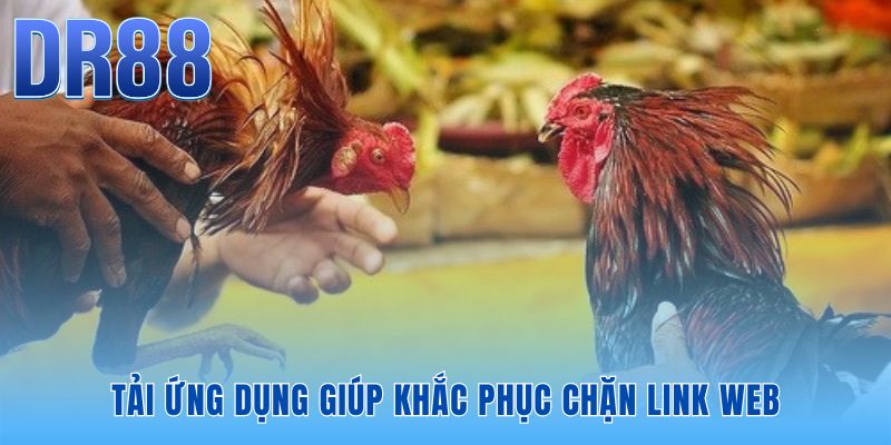 Ứng dụng di động tự động đổi IP khắc phục lỗi chặn truy cập